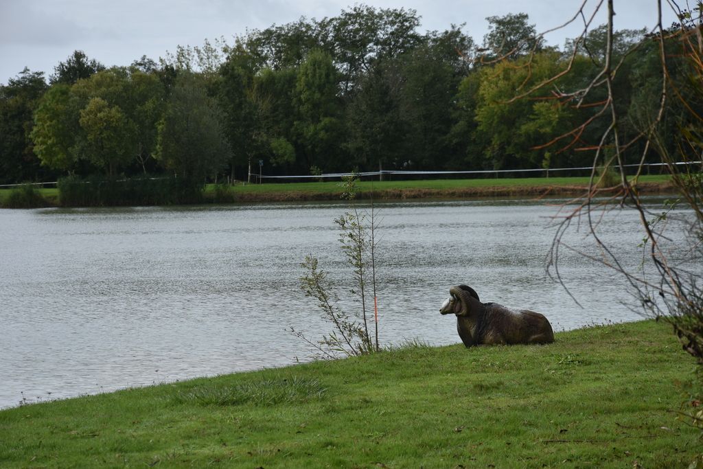 Concours 3D les 18 et 19 septembre 2021