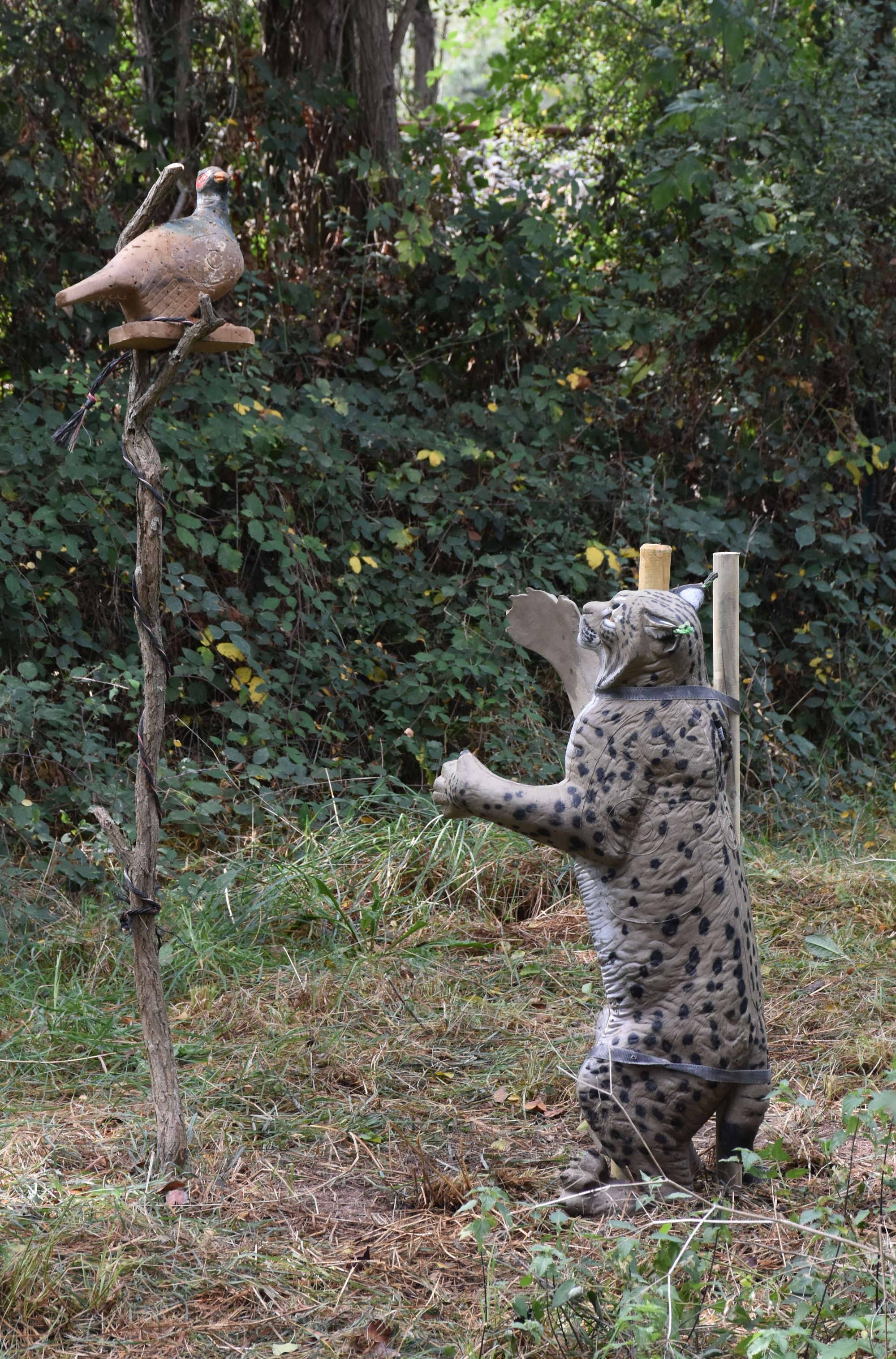 Championnat Régional Tir 3D
